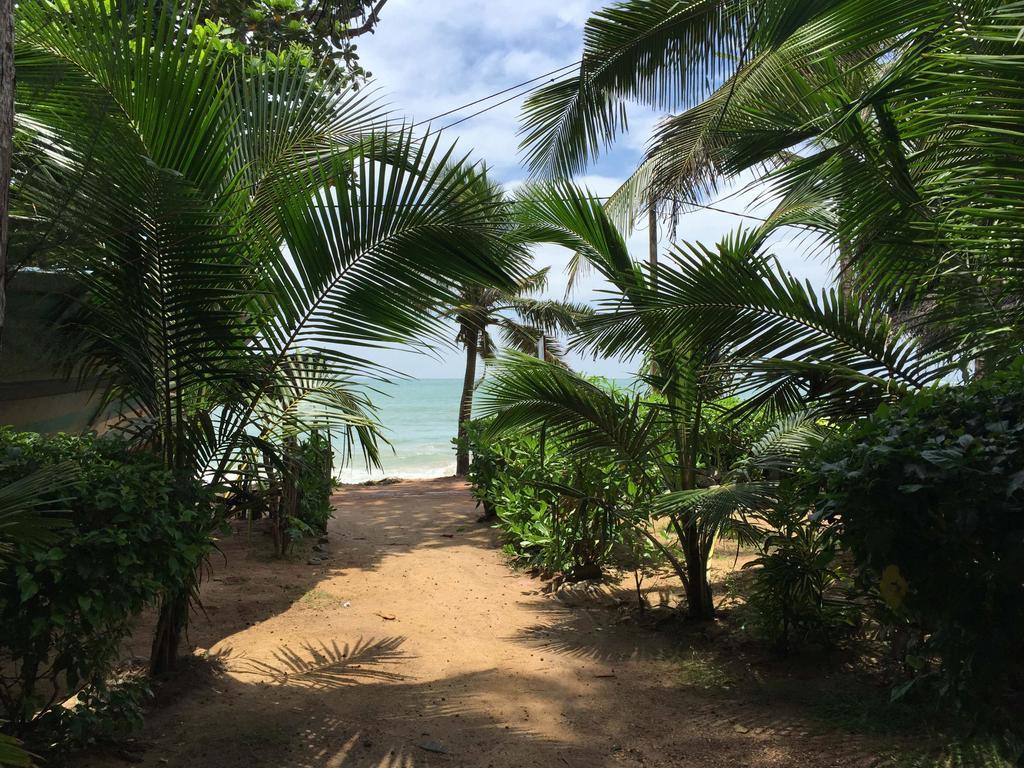 Chandi Gaya Beach Guesthouse 탕갈레 외부 사진