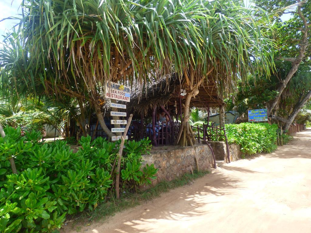Chandi Gaya Beach Guesthouse 탕갈레 외부 사진